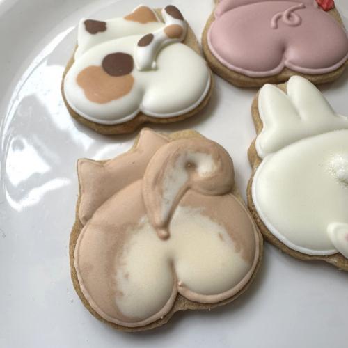 どうぶつのおしり 4P