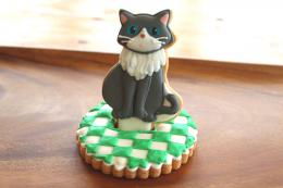 スタンディング　キャット